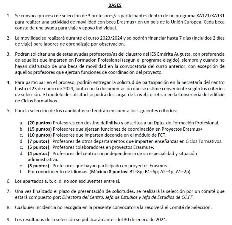 Bases de la convocatoria 2024