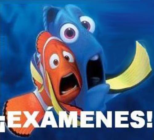 examenes