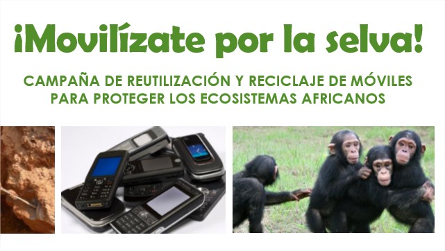 movilizate