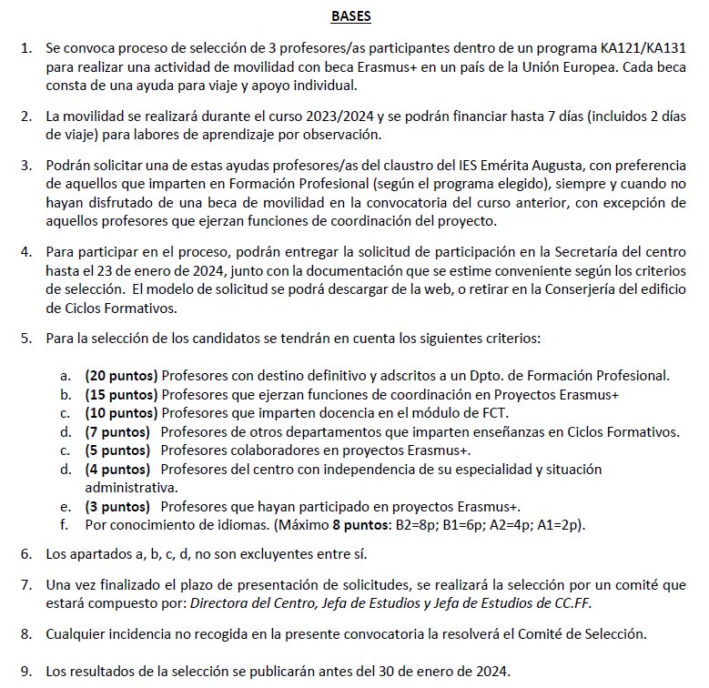 Bases de la convocatoria 2024